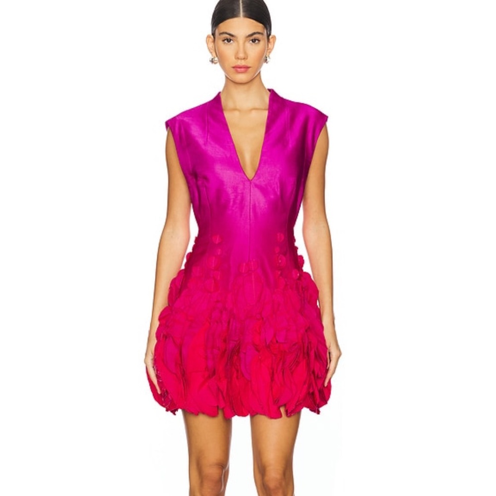 NWT Anthropologie (ACLER) Surrey Mini Dress in Raspberry Ombre